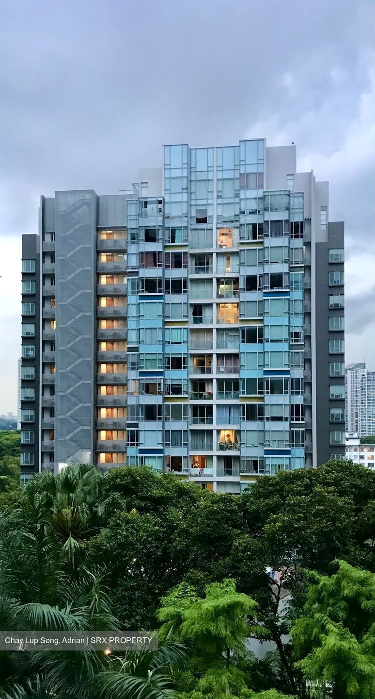 Vida thumbnail photo